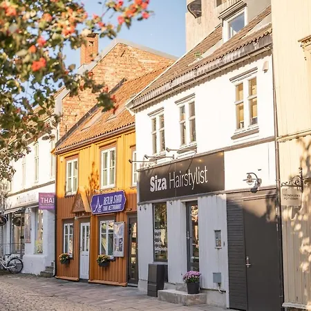 Elegant 1-bed In Centre Lägenhet Trondheim