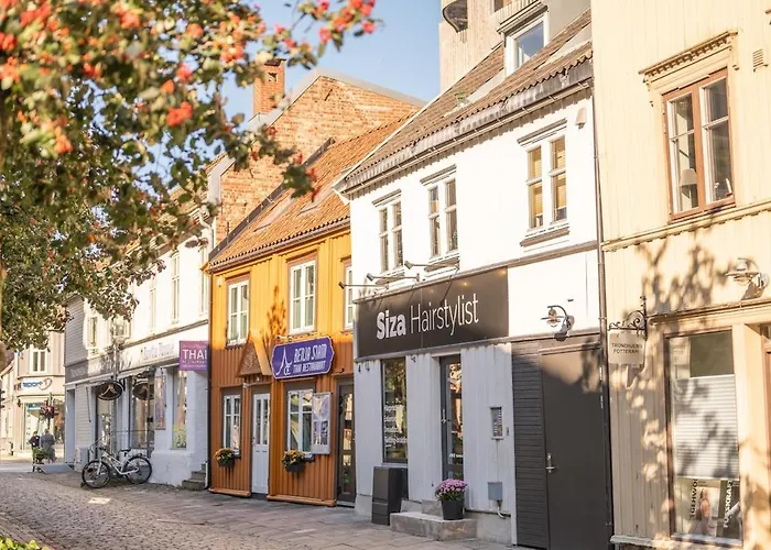 Elegant 1-bed In Centre Lägenhet Trondheim